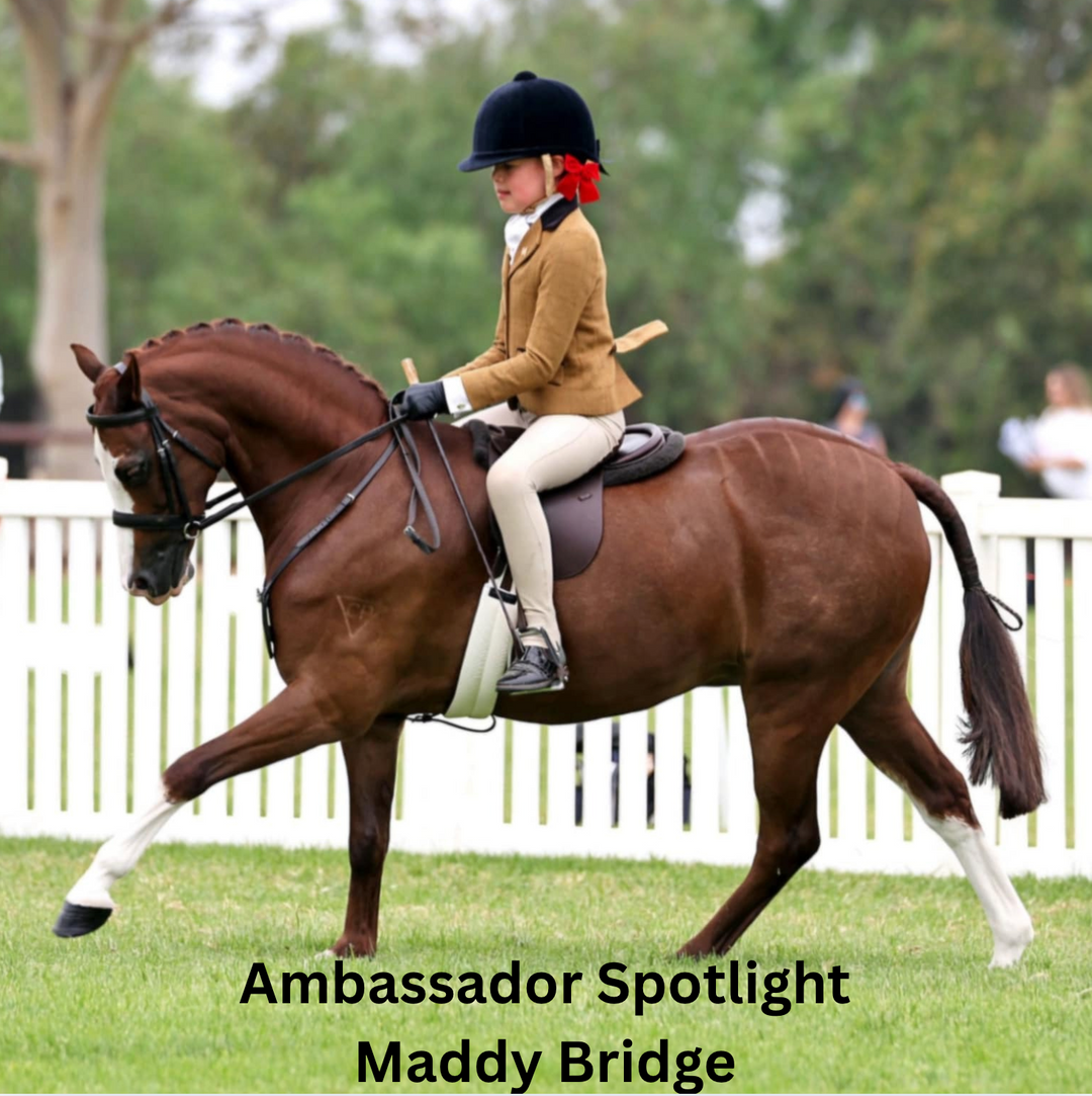 Meet Maddy Bridge – Riding with Heart, Style & Sparkle 💫🐴