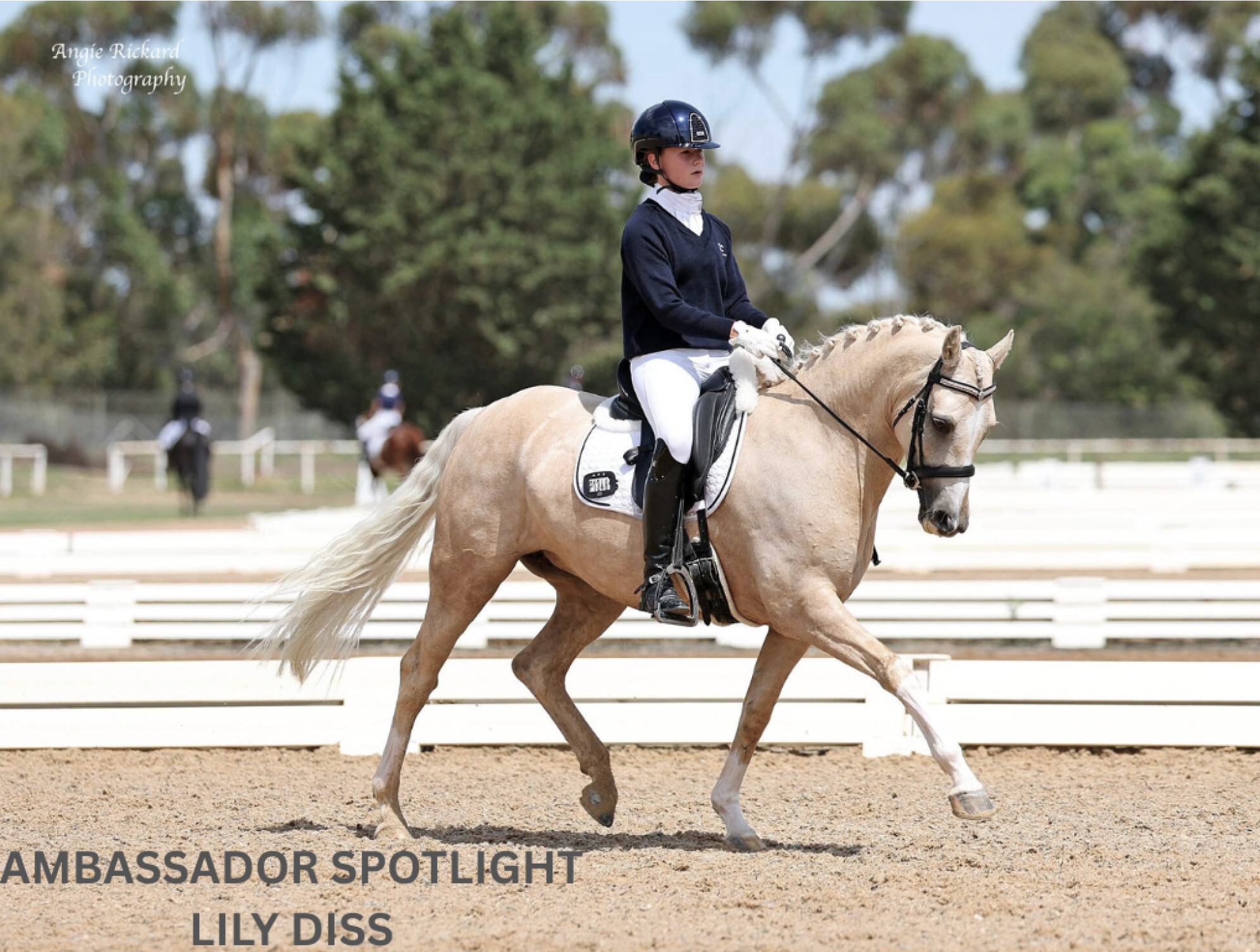 Ambassador Spot Light: Lily Diss