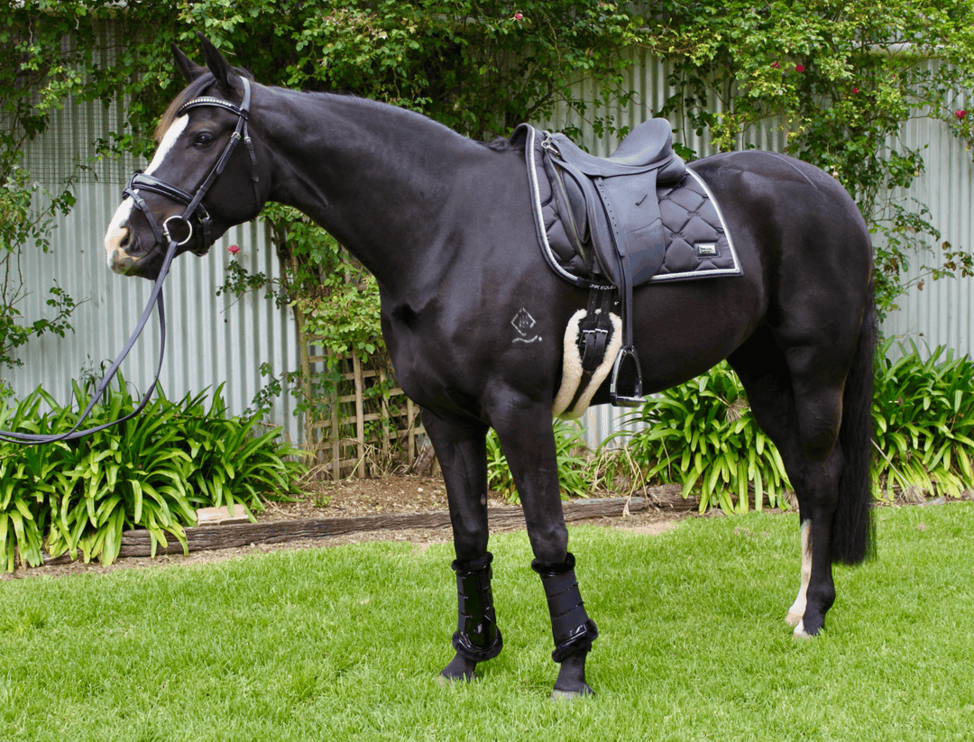 Saddle Pad - JnK Equestrian